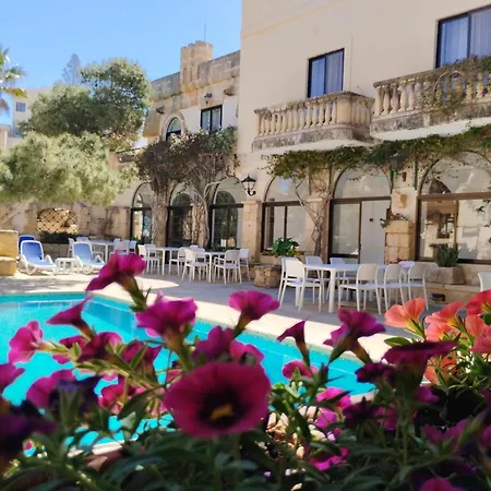 Cornucopia Xagħra