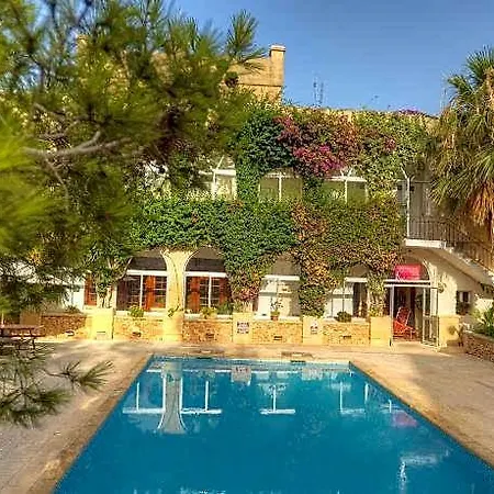 Cornucopia Xagħra